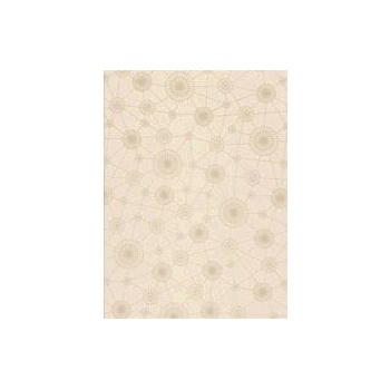 VELUX DFD MK06 0705S