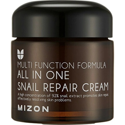 MIZON ALL IN ONE SNAIL REPAIR CREAM 75 ml