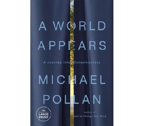 A World Appears