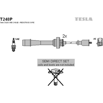 Sada zapaľovacích káblov TESLA T248P