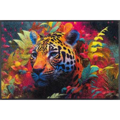 wash+dry Interiérová rohožka Leopy McLeopard 50 x 75 cm