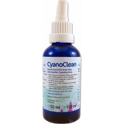 Korallen-zucht Cyano Clean 50 ml