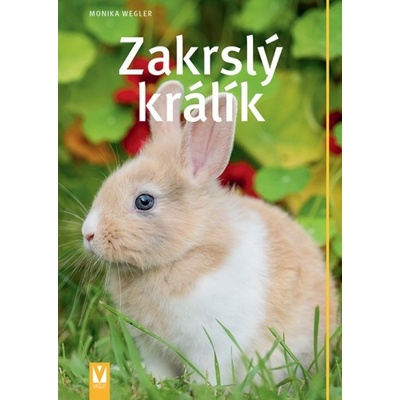 Zakrslý králík