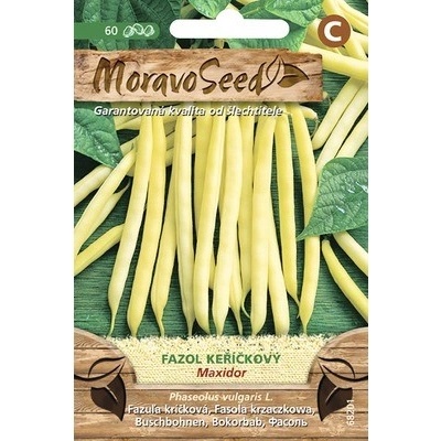 Fazuľa kríčková žltá MAXIDOR MoravoSeed