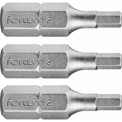 Fortum H3x25 mm 3 ks 4741504
