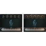 Boz Digital Labs Boz Digital New York L Bundle