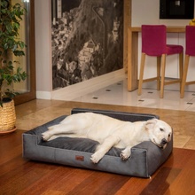 HobbyDog Pelech Glamour Fancy