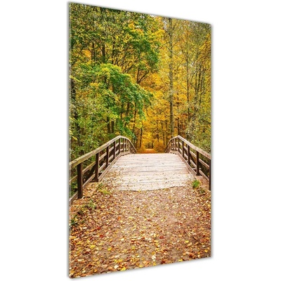 Vertikálny foto obraz sklenený Les na jeseň 50x100 cm