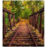 DIMEX ART Флизелинов фототапет железопътна линия в гората 225 x 250 см