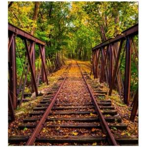 DIMEX ART Флизелинов фототапет железопътна линия в гората 225 x 250 см