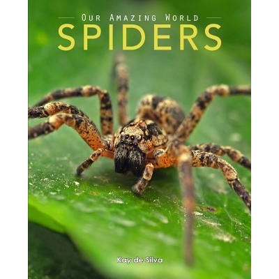 Spiders | Kay de Silva
