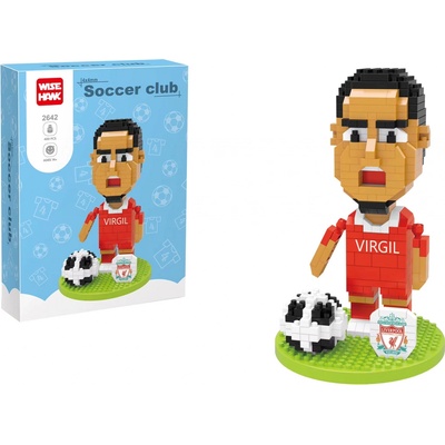 Wise Hawk Virgil van Dijk