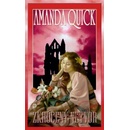 Zkrocený netvor - Amanda Quick