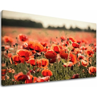 Obraz na stenu KVETY - 20x30