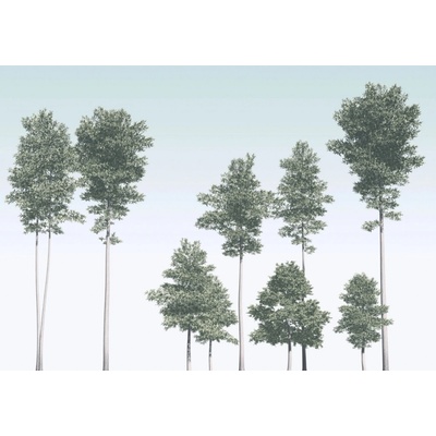 Komar Vliesová fototapeta Pines rozměry 400 x 280 cm