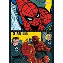 Marvel Visionaries Stan Lee