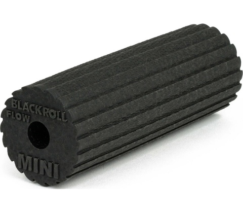 Blackroll MINI