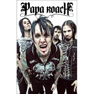 Papa Roach - Band (vlajka)