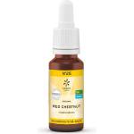 Lemon Pharma Цветна есенция от Червен Див кестен, по метода на д-р Бах 20 ml капки | Lemon Pharma (900125 LP)