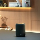 WiiM Sound Lite