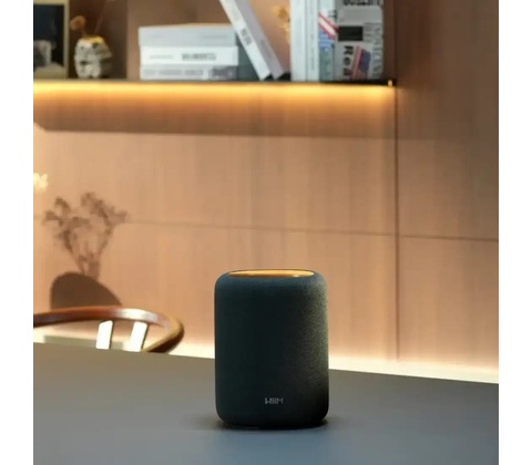 WiiM Sound Lite