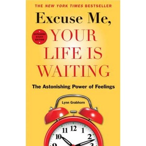 Excuse Me, Your Life Is Waiting | Lynn Grabhorn (ISBN: 9781571747358)
