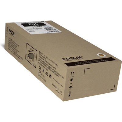 Epson T9731