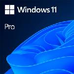 Microsoft Windows 11 Professional 64Bit English Intl 1pk DSP OEI DVD (FQC-10528) - wyertech