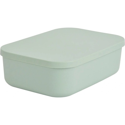 Homéa Светлозелена пластмасова кутия за съхранение с капак 24x18x8 cm - Homéa (6RAN838VC)