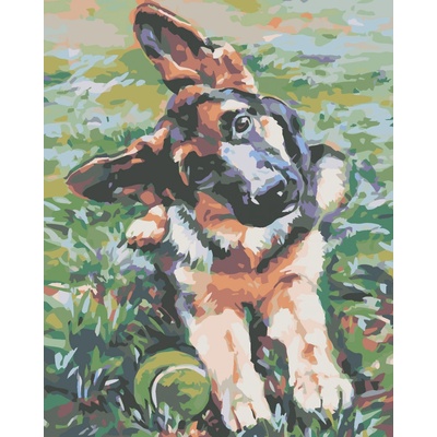 zuty Malování podle čísel Štěně ovčáka 80 x 100 cm bez rámu a bez vypnutí plátna