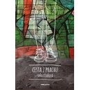 Cesta z prachu