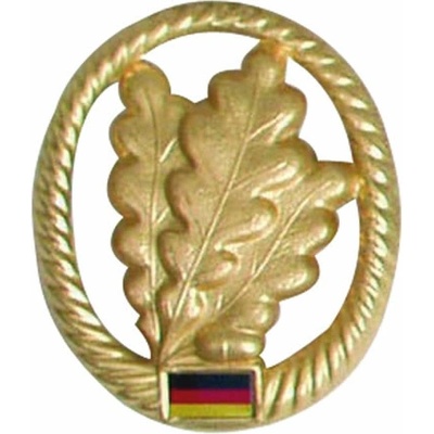 Bundeswehr Odznak BW na baret zlatý Jägertruppe