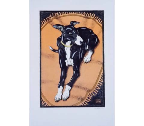 Ivan Kováčik, Greyhound