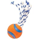 Chuckit! Ultra Toss Small