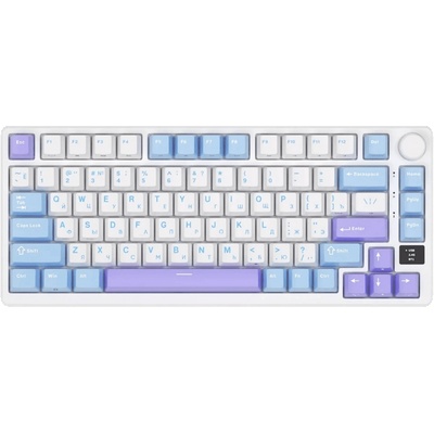 Royal Kludge RK-M75-TAROMLK-KSLVSW-US