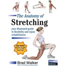 The Anatomy of Stretching: Your Illustrated Guide to Flexibility and Injury Rehabilitation