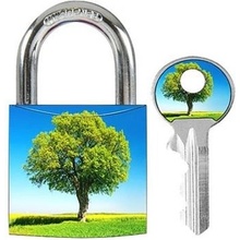 Master Lock 3430EURDAST_tree
