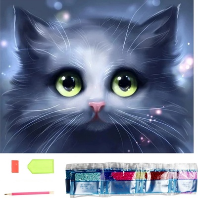 Norimpex Diamantové malování Šedé kotě 30 x 40 cm – Hledejceny.cz
