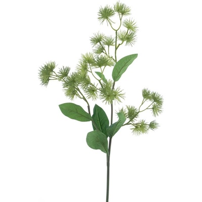 bodlák (thistle) zelený V79 cm