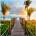 Norimpex - Puzzle Diamant painting: Bridge with palm trees 30x40cm - 1 - 39 piese