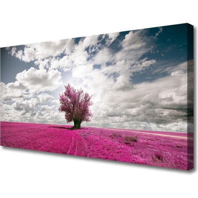 Obraz na plátně Strom Pole Příroda 100x50 cm