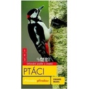 Ptáci