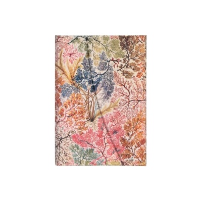 Slovart Anemone Mini