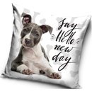 Carbotex s Pitbullom motív Say hello new day Pozdrav nový deň 40 x 40 cm