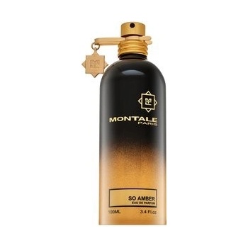 Montale So Amber parfémovaná voda unisex 100 ml
