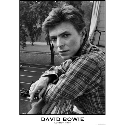 Plagát, Obraz - David Bowie - London 1977, 59.4 × 84.1 cm