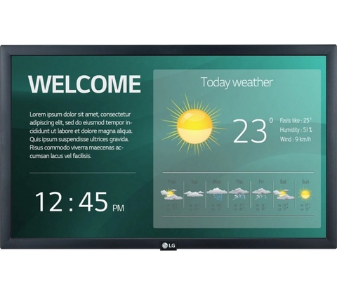 LG 22SM3G