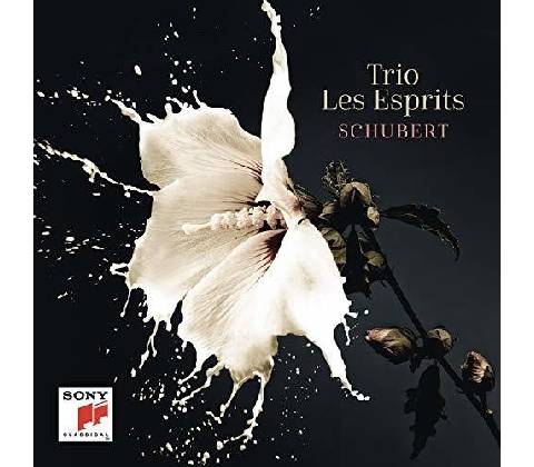 TRIO LES ESPRITS - SCHUBERT CD