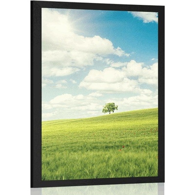 Plakát nádherný slunečný den na louce - 20x30 silver