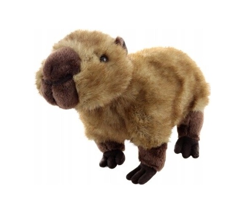 KAPYBARA KAPYBARA